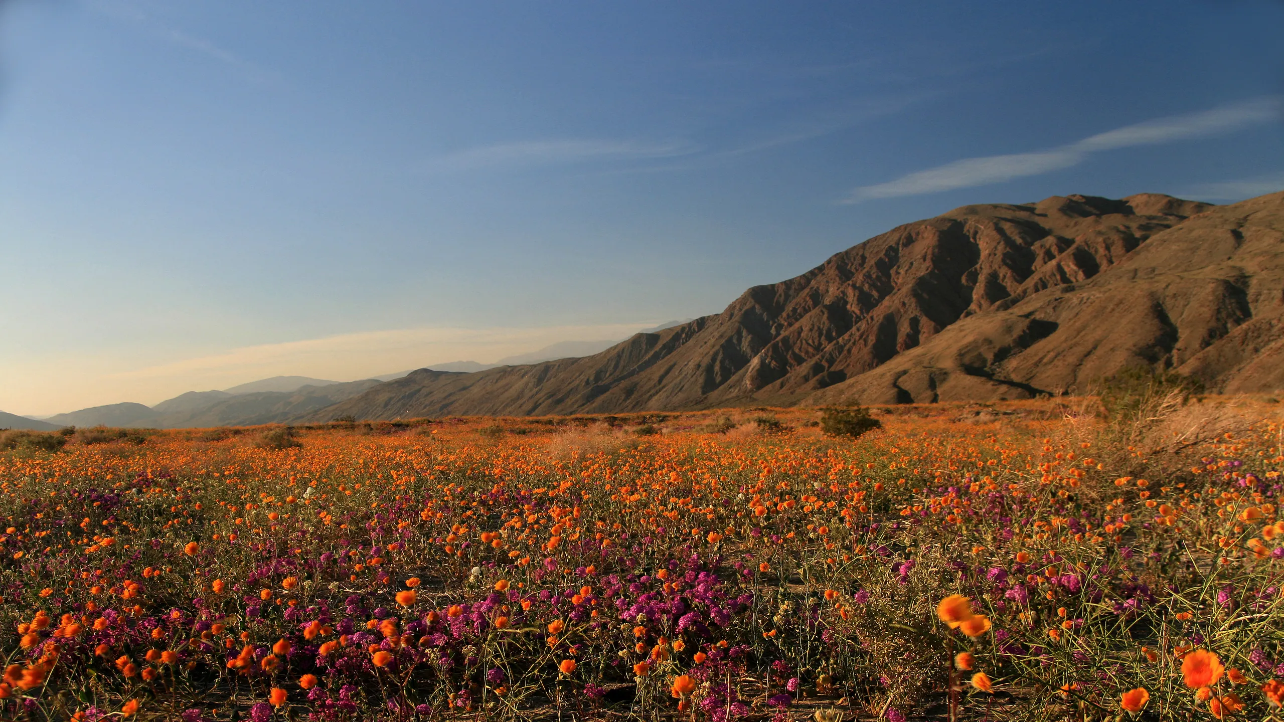 Anza-Borrego Desert State Park