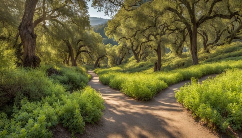 hiking trails in Napa Valley