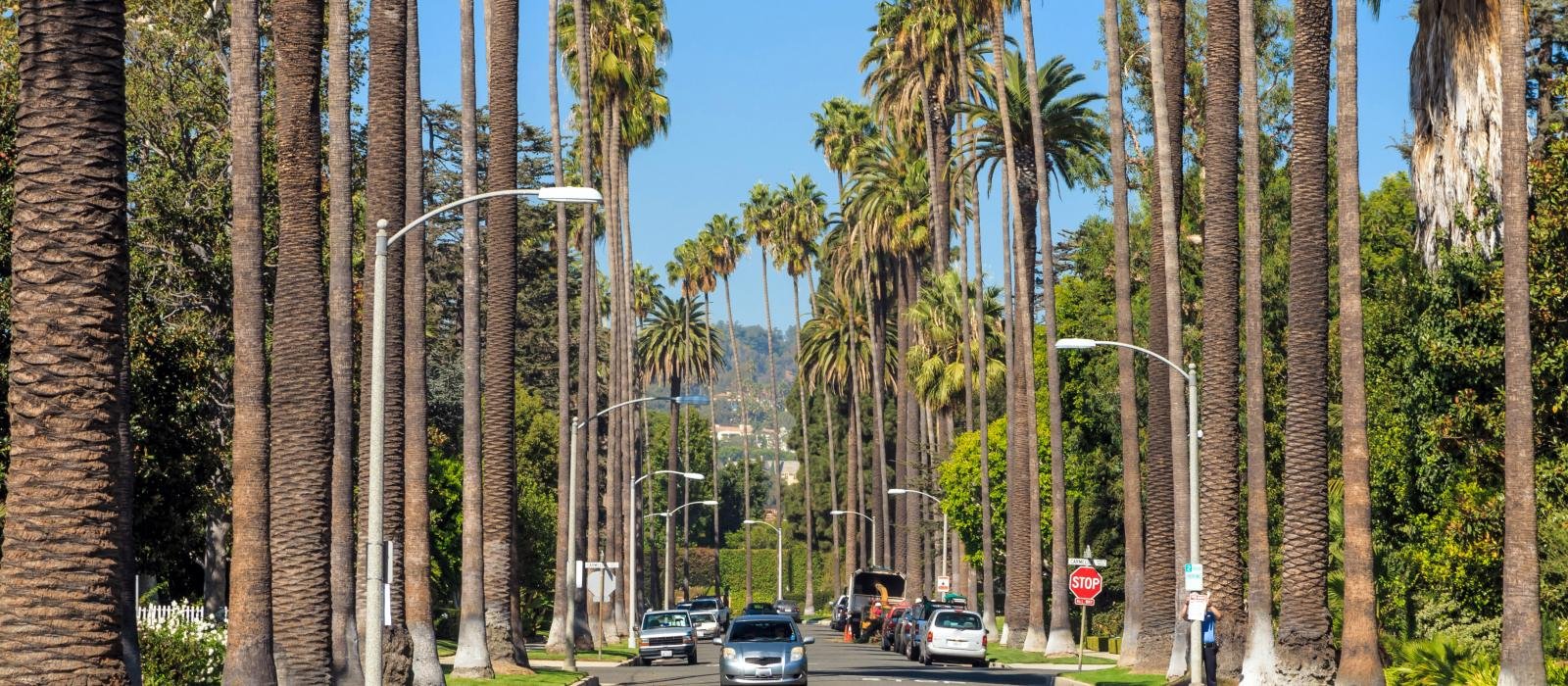 things to do in california los angeles