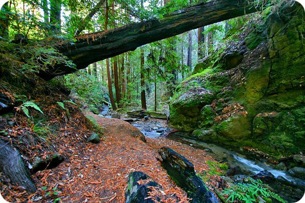 things to do in big sur california