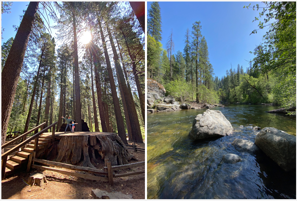 Northern California State Parks