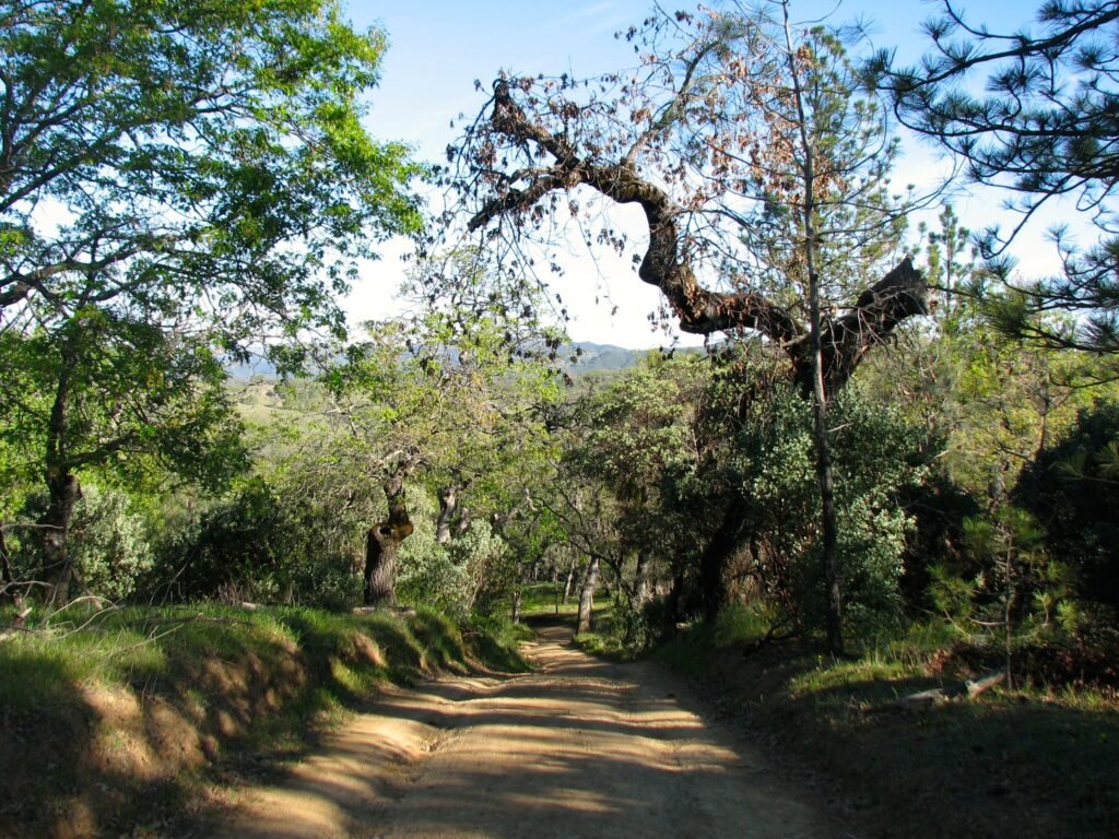 most underrated state parks in california