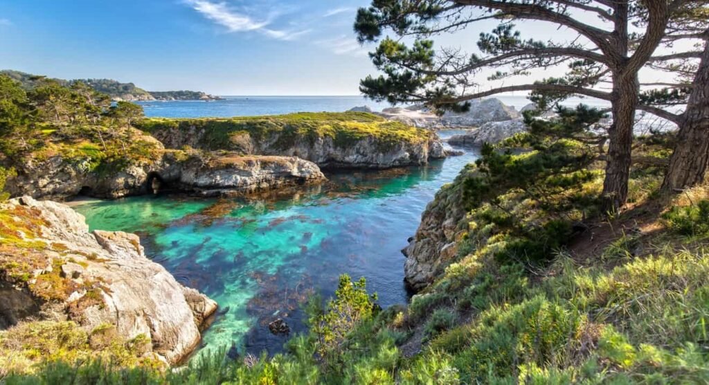 Northern California state parks