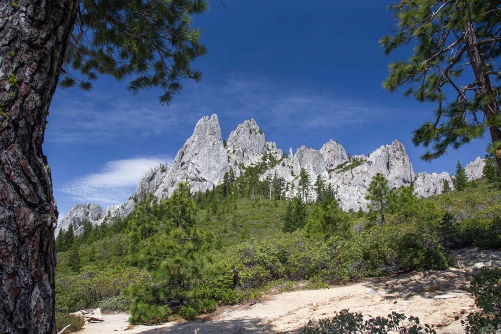 Northern California State Parks