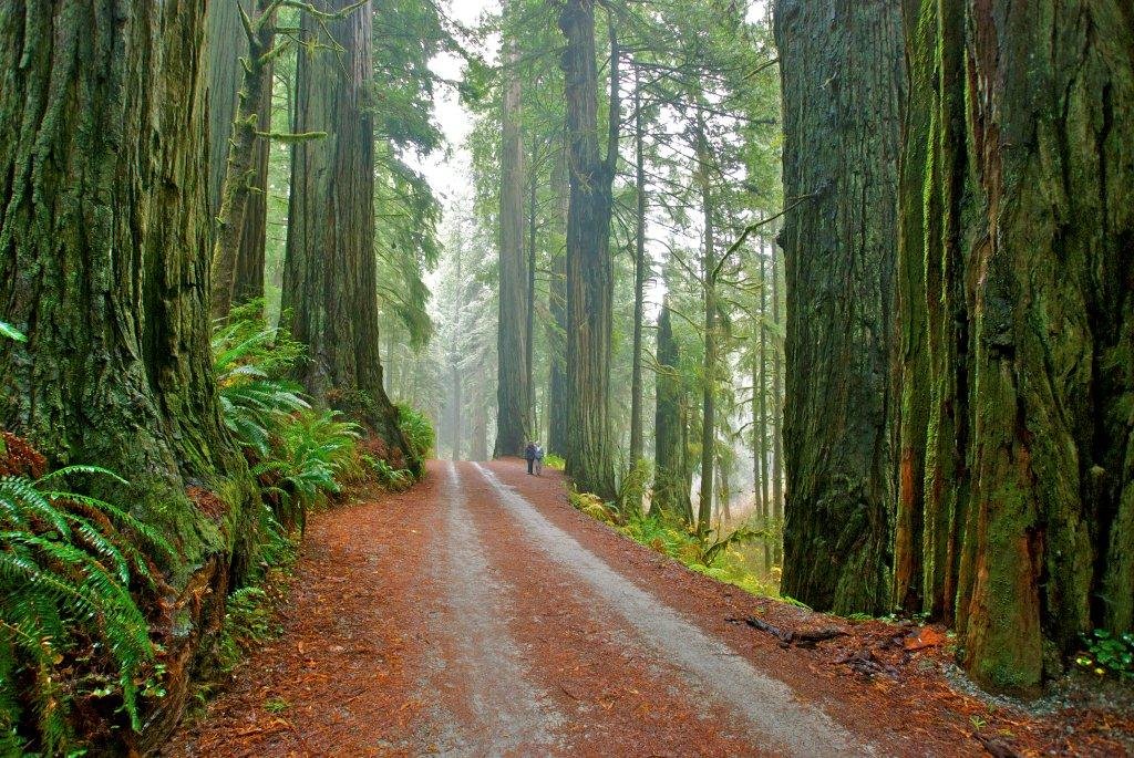 Northern California State Parks