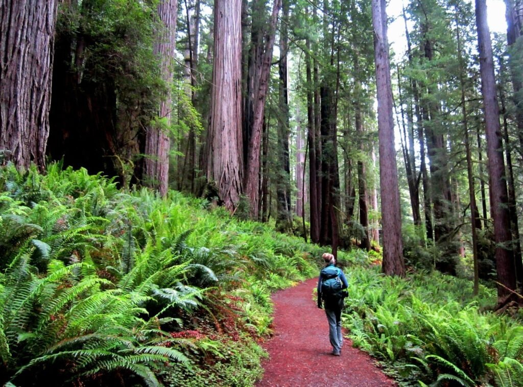 Northern California State Parks