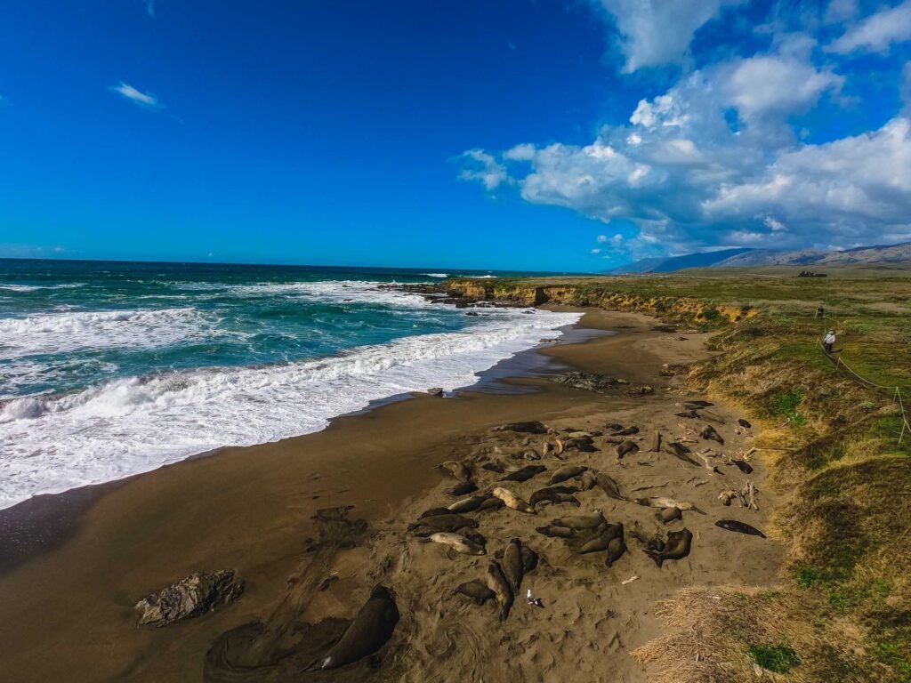 hearst san simeon state park