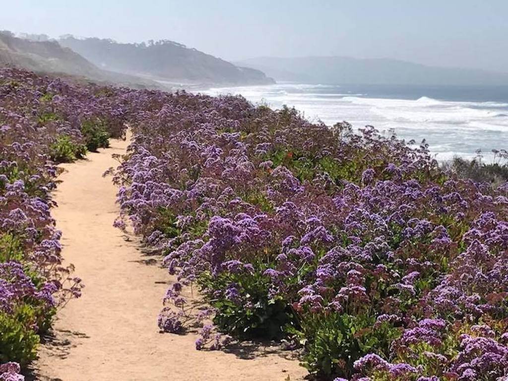 things to do in california in april