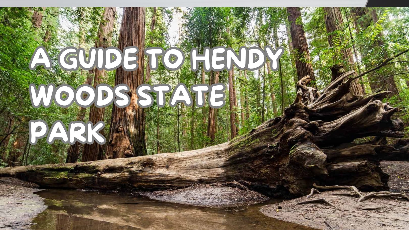 hendy woods state park