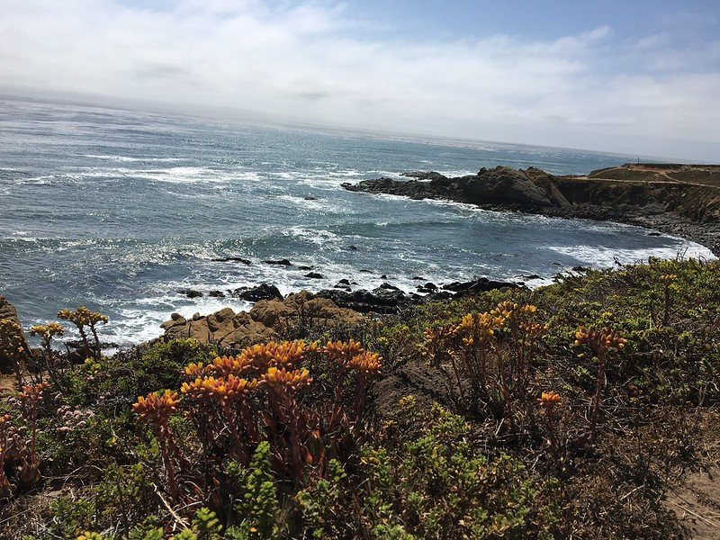 harmony headlands state park