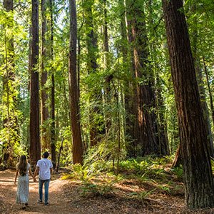 hendy woods state park