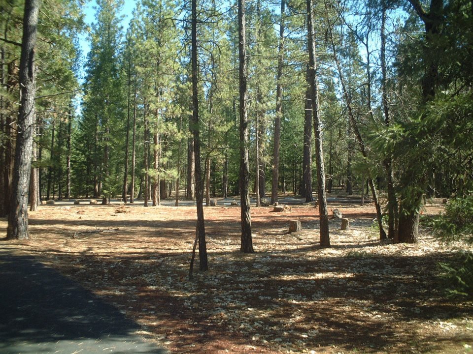 mcarthur-burney falls memorial state park