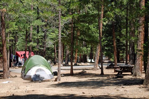 mcarthur-burney falls memorial state park