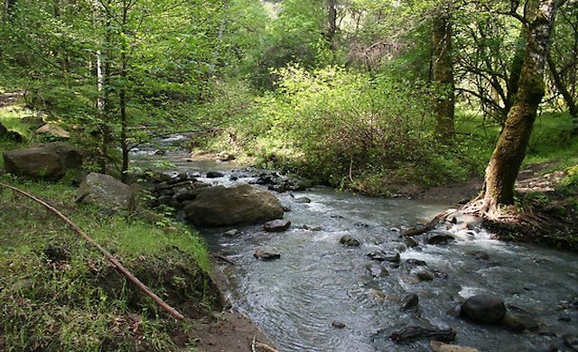 bothe-napa valley state park