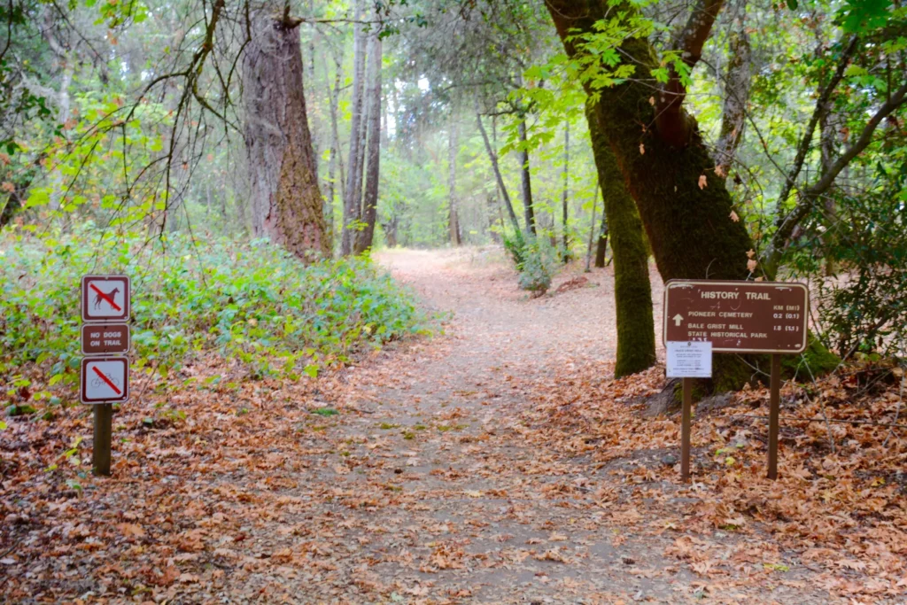 bothe-napa valley state park