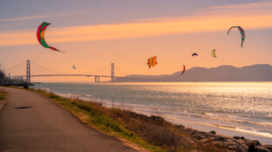 Berkeley Marina Guide